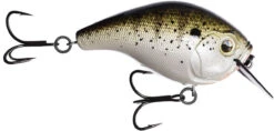 13 Fishing Scamp 1.5/2.5 Squarebill Crankbait -Sport Fishing Shop flipLouisiana Frog Cakes