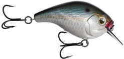 13 Fishing Scamp 1.5/2.5 Squarebill Crankbait -Sport Fishing Shop flipNatty night