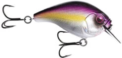 13 Fishing Scamp 1.5/2.5 Squarebill Crankbait -Sport Fishing Shop flipPurple Nurple