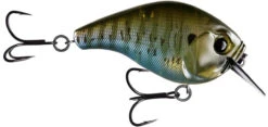 13 Fishing Scamp 1.5/2.5 Squarebill Crankbait -Sport Fishing Shop flipRusty Bream