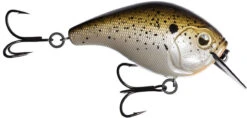 13 Fishing Scamp 1.5/2.5 Squarebill Crankbait -Sport Fishing Shop flipTruffle Butter