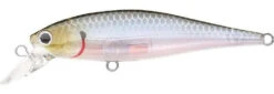 Lucky Craft Pointer 65 Suspending Jerkbait 7 Lucky Craft Pointer 65 Suspending Jerkbait -Sport Fishing Shop ghost 2Bminnow