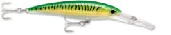 Rapala X-Rap Magnum 40 Big Game Slash Bait 27 Rapala X-Rap Magnum 40 Big Game Slash Bait -Sport Fishing Shop gold green mackerel c36aafcc 55b7 4b87 b976 933cb1f68086