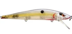 SPRO Mike McClelland McStick 110 Suspending Jerkbait -Sport Fishing Shop gray ghost 5865ff05 b7bf 4173 825b 389c08687e39