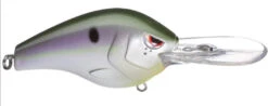 SPRO Fat Papa 70 Deep Diving Crankbait -Sport Fishing Shop hickory shad