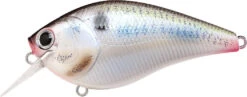 Lucky Craft LC 2.5 Shallow Squarebill Crankbait -Sport Fishing Shop live threadfin shad
