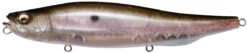 Megabass Megadog 8.6 Inch Topwater Walker -Sport Fishing Shop megadog mb gizzard