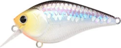 Lucky Craft LC 2.5 Shallow Squarebill Crankbait -Sport Fishing Shop ms 2Bimpulse 2Bshad
