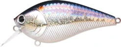Lucky Craft LC 2.5 Shallow Squarebill Crankbait -Sport Fishing Shop ms american shad