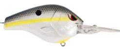 SPRO Fat Papa 70 Deep Diving Crankbait -Sport Fishing Shop nast shad