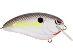 SPRO John Crews Fat John 60 Shallow Crankbait -Sport Fishing Shop nasty shad