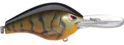 SPRO Fat Papa 70 Deep Diving Crankbait -Sport Fishing Shop olive craw 9f3f7527 ceb3 488d 8054 6c78f77e9e9a