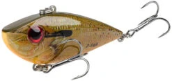 Strike King Red Eyed Shad Tungsten 2 Tap 3/4 Oz. Lipless Crankbait -Sport Fishing Shop orange bream e907a702 bfec 4a03 9078 1b2ffae2faa6