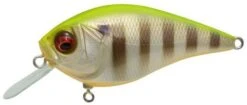 Megabass Knuckle LD Silent Crankbait 2 1/3 Inches -Sport Fishing Shop pm 2Bhot 2Bgill
