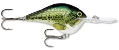 Rapala DT Series Crankbait DT16 23 Rapala DT Series Crankbait DT16 -Sport Fishing Shop rapala dt10 baby bass 9f4297d4 e93b 4dc9 9e82 ad9811b01dc0