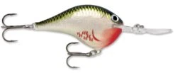 Rapala DT Series Crankbait DT14 -Sport Fishing Shop rapala dt10 bleeding olive shiner 070d001b e721 4ee2 9f5c ce93a9d12d56