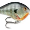 Rapala DT Series Crankbait DT14