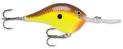 Rapala DT Series Crankbait DT14 -Sport Fishing Shop rapala dt10 chartreuse brown 79e4da02 8f58 4cf4 857c b990a603adbf