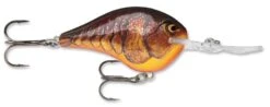 Rapala DT Series Crankbait DT14 -Sport Fishing Shop rapala dt10 dark brown crawdad f7268025 f7d2 4b35 98ed 1aaf7df2a479