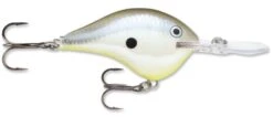 Rapala DT Series Crankbait DT14 -Sport Fishing Shop rapala dt10 disco shad f51a7126 74c3 492b 9cd5 31ab8f430d8a