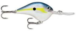 Rapala DT Series Crankbait DT14 -Sport Fishing Shop rapala dt10 helsinki shad a427dadf dc8f 4519 b6fd 0cc072acee6a