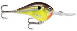 Rapala DT Series Crankbait DT16 22 Rapala DT Series Crankbait DT16 -Sport Fishing Shop rapala dt10 hot mustard 847d0a2c 2be5 48b6 ab17 11f103d1180d