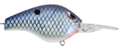 SPRO Fat Papa 70 Deep Diving Crankbait -Sport Fishing Shop river tn gizzard