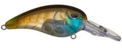 SPRO Mike McClelland RkCrawler MD 55 Medium Diving Crankbait -Sport Fishing Shop rs 2 a240553c 9eb6 401b b839 39e4423478fe