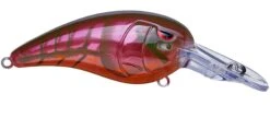 SPRO Mike McClelland RkCrawler MD 55 Medium Diving Crankbait -Sport Fishing Shop rs 7
