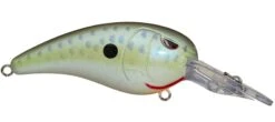 SPRO Mike McClelland RkCrawler MD 55 Medium Diving Crankbait -Sport Fishing Shop rs c0c1e660 d2e1 4c5f afb0 4923ac81f101