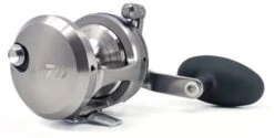 Daiwa Saltiga Star Drag 20/30/35/40/50 Conventional Reels -Sport Fishing Shop saltigastar1 600x600 jpg