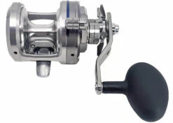 Daiwa Saltiga Star Drag 20/30/35/40/50 Conventional Reels -Sport Fishing Shop saltigastar2