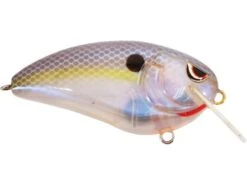 SPRO John Crews Fat John 60 Shallow Crankbait -Sport Fishing Shop spooky nasty
