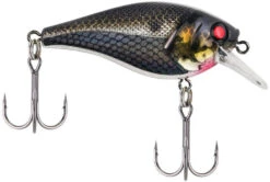 Berkley SquareBull 2 3/8 Inch Shallow Squarebill Crankbait -Sport Fishing Shop squarebull black silver a43ada4f f3fc 4f83 abd8 116ee7b133b0