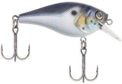 Berkley SquareBull 2 3/8 Inch Shallow Squarebill Crankbait -Sport Fishing Shop squarebull blue black 785f5c02 8d74 4391 8cff efb332981a52