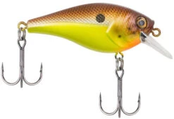 Berkley SquareBull 2 3/8 Inch Shallow Squarebill Crankbait -Sport Fishing Shop squarebull brown mustard 81da5849 8ea2 4f4e b46f 0980ead1b2b1