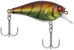 Berkley SquareBull 2 3/8 Inch Shallow Squarebill Crankbait -Sport Fishing Shop squarebull vintage craw 80989045 ac81 41fe b62e aacb608a8003