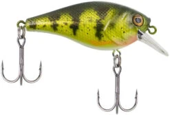 Berkley SquareBull 2 3/8 Inch Shallow Squarebill Crankbait -Sport Fishing Shop squarebull yellow perch 08cc63df 2824 4d70 8487 3e7beebcaa15