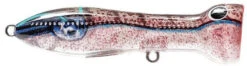 Nomad Design Chug Norris Freshwater/Inshore Popper 34 Nomad Design Chug Norris Freshwater/Inshore Popper -Sport Fishing Shop squid surprise
