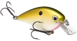 Strike King KVD Magnum Square Bill 8.0 Silent Crankbaits -Sport Fishing Shop tn shad