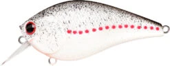 Lucky Craft LC 2.5 Shallow Squarebill Crankbait -Sport Fishing Shop white 2Bshad
